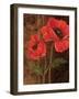 Poppy Portrait I-Todd Williams-Framed Art Print