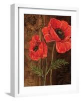 Poppy Portrait I-Todd Williams-Framed Art Print