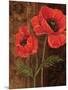 Poppy Portrait I-Todd Williams-Mounted Art Print