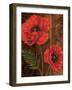 Poppy Portrait II-Todd Williams-Framed Art Print