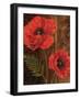 Poppy Portrait II-Todd Williams-Framed Art Print