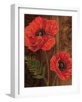 Poppy Portrait II-Todd Williams-Framed Art Print