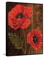 Poppy Portrait II-Todd Williams-Framed Stretched Canvas