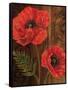 Poppy Portrait II-Todd Williams-Framed Stretched Canvas