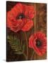 Poppy Portrait II-Todd Williams-Stretched Canvas