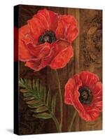 Poppy Portrait II-Todd Williams-Stretched Canvas