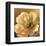 Poppy Portrait-Lisa Audit-Framed Art Print