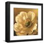 Poppy Portrait-Lisa Audit-Framed Art Print