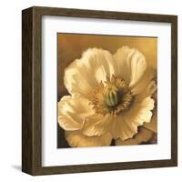 Poppy Portrait-Lisa Audit-Framed Art Print