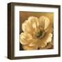 Poppy Portrait-Lisa Audit-Framed Art Print