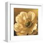 Poppy Portrait-Lisa Audit-Framed Art Print