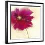 Poppy Power II-Marilyn Robertson-Framed Art Print