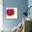 Poppy Power II-Marilyn Robertson-Giclee Print displayed on a wall