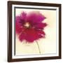 Poppy Power II-Marilyn Robertson-Framed Giclee Print