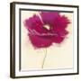 Poppy Power III-Marilyn Robertson-Framed Art Print