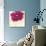 Poppy Power III-Marilyn Robertson-Giclee Print displayed on a wall