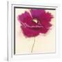 Poppy Power III-Marilyn Robertson-Framed Giclee Print