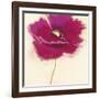 Poppy Power III-Marilyn Robertson-Framed Giclee Print