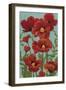 Poppy Promenade I-Grace Popp-Framed Art Print