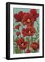 Poppy Promenade I-Grace Popp-Framed Art Print