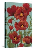 Poppy Promenade I-Grace Popp-Stretched Canvas