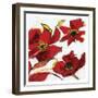 Poppy Reds 2-Smith Haynes-Framed Art Print