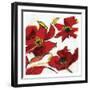 Poppy Reds 2-Smith Haynes-Framed Art Print