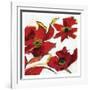 Poppy Reds 2-Smith Haynes-Framed Art Print