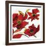 Poppy Reds 2-Smith Haynes-Framed Art Print