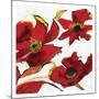 Poppy Reds 2-Smith Haynes-Mounted Art Print