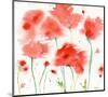 Poppy Reds-Sheila Golden-Mounted Art Print