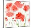 Poppy Reds-Sheila Golden-Mounted Art Print