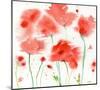 Poppy Reds-Sheila Golden-Mounted Art Print