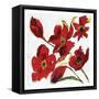 Poppy Reds-Smith Haynes-Framed Stretched Canvas