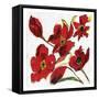 Poppy Reds-Smith Haynes-Framed Stretched Canvas