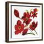 Poppy Reds-Smith Haynes-Framed Art Print