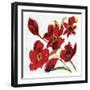 Poppy Reds-Smith Haynes-Framed Art Print