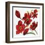 Poppy Reds-Smith Haynes-Framed Art Print