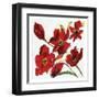 Poppy Reds-Smith Haynes-Framed Art Print