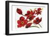 Poppy Reds-Smith Haynes-Framed Premium Giclee Print