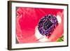 Poppy Seed, Corn Poppy, Blossom, Radiant-Nikky Maier-Framed Photographic Print