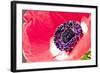 Poppy Seed, Corn Poppy, Blossom, Radiant-Nikky Maier-Framed Photographic Print