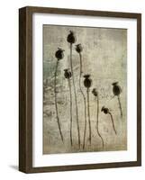 Poppy seedlings-Nel Talen-Framed Photographic Print