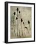 Poppy seedlings-Nel Talen-Framed Photographic Print