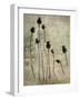 Poppy seedlings-Nel Talen-Framed Photographic Print