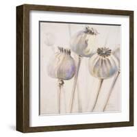 Poppy Seeds I-Patricia Pinto-Framed Art Print