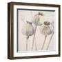 Poppy Seeds I-Patricia Pinto-Framed Art Print