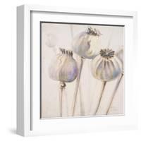 Poppy Seeds I-Patricia Pinto-Framed Art Print