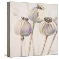Poppy Seeds I-Patricia Pinto-Stretched Canvas