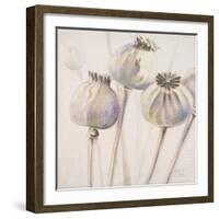 Poppy Seeds I-Patricia Pinto-Framed Art Print